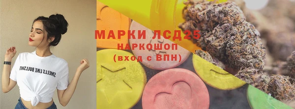 стафф Протвино