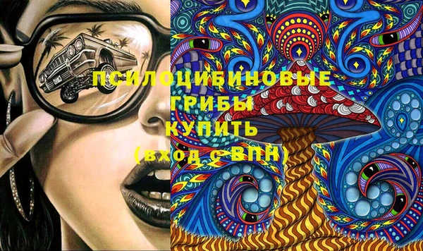 амф Приозерск