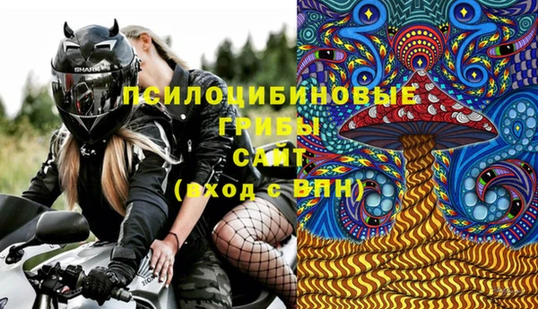 стафф Протвино