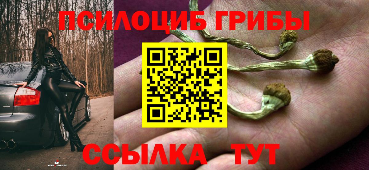Галлюциногенные грибы Psilocybine cubensis  Галлюциногенные грибы Psilocybine cubensis  продажа наркотиков  Вход с VPN  Балтийск 